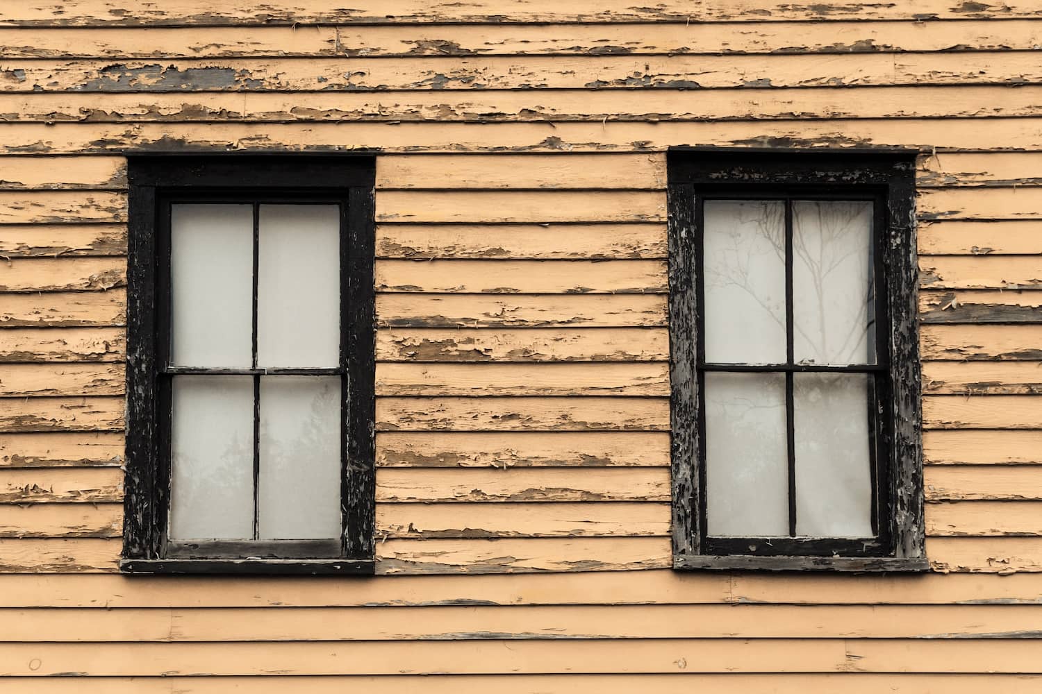 4 Things to Know About Painting Over Lead Paint Knockout Home Inspections